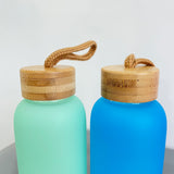 Rts usa_20oz bamboo lid blank sublimation colored frosted glass water bottles_nina