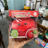 15*12cm jumbo size Strawberry Squishy toy_nina