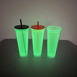 pre-drilled 24oz Halloween double wall green glow in dark snow globe plastic acrylic tumbler_nina